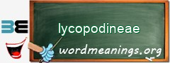 WordMeaning blackboard for lycopodineae